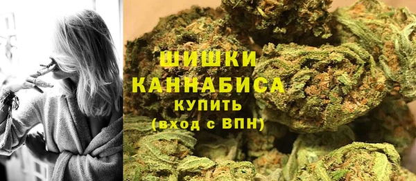 прущие грибы Бородино