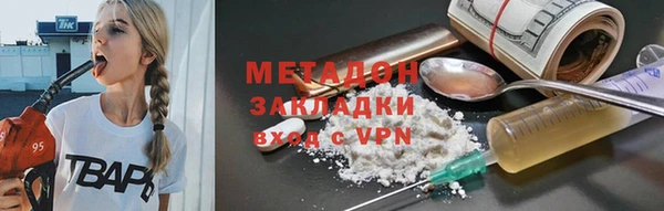 прущие грибы Бородино