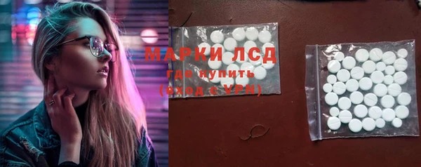 прущие грибы Бородино