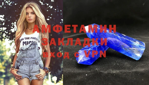 прущие грибы Бородино