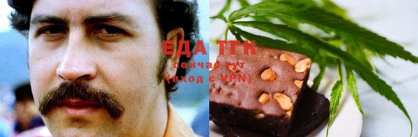 прущие грибы Бородино