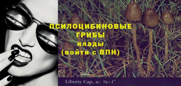 прущие грибы Бородино