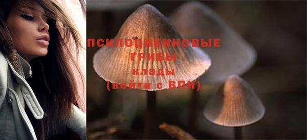 ECSTASY Бугульма