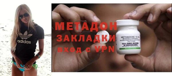 прущие грибы Бородино