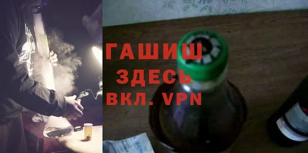 прущие грибы Бородино