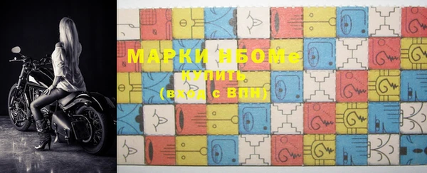 прущие грибы Бородино