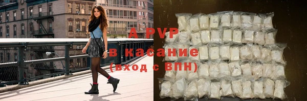 прущие грибы Бородино