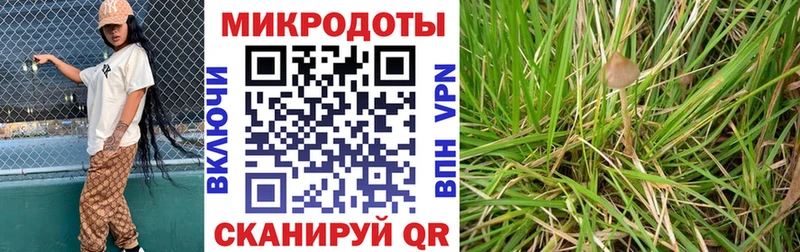 сколько стоит  Ачхой-Мартан  Галлюциногенные грибы прущие грибы 